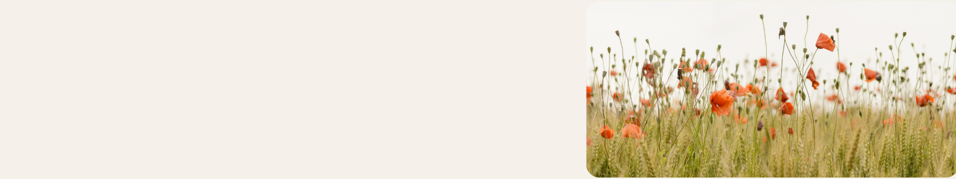 breadcrumb-img